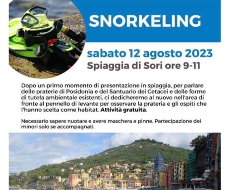 Snorkeling 12 Agosto 2023
